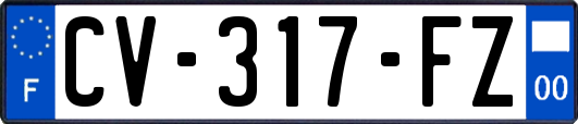 CV-317-FZ