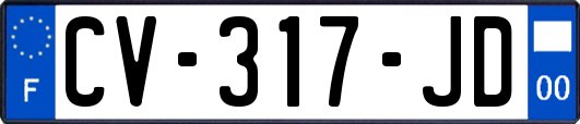 CV-317-JD