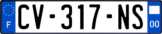 CV-317-NS