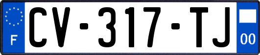 CV-317-TJ