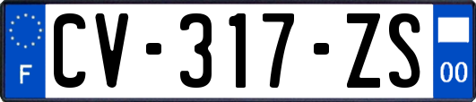 CV-317-ZS