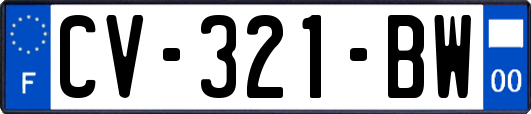 CV-321-BW