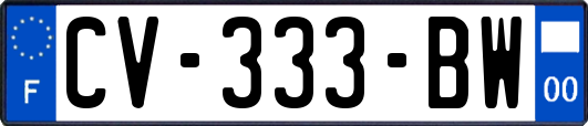 CV-333-BW