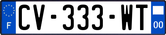 CV-333-WT