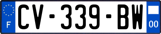 CV-339-BW