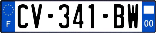 CV-341-BW