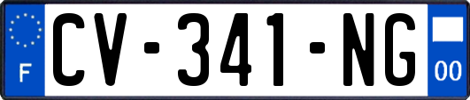 CV-341-NG