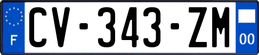 CV-343-ZM