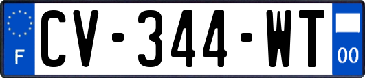 CV-344-WT