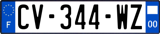 CV-344-WZ