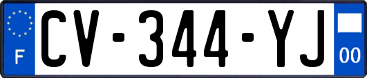 CV-344-YJ