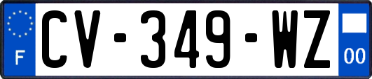 CV-349-WZ