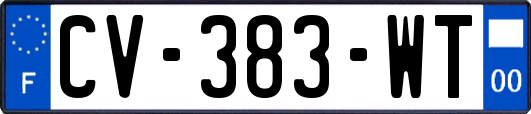 CV-383-WT