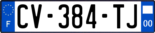 CV-384-TJ