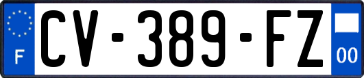 CV-389-FZ