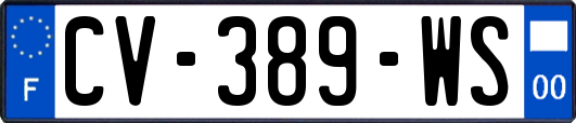 CV-389-WS