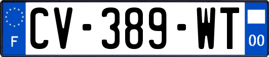 CV-389-WT