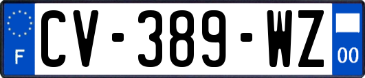 CV-389-WZ