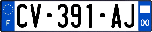 CV-391-AJ