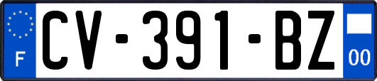 CV-391-BZ