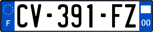 CV-391-FZ