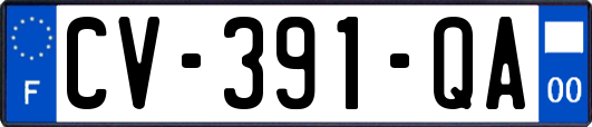 CV-391-QA