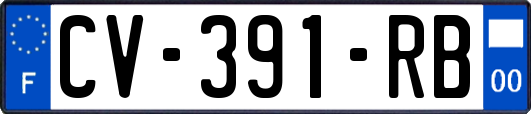 CV-391-RB