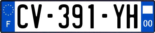 CV-391-YH