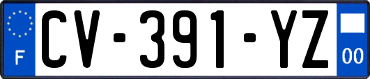 CV-391-YZ