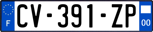 CV-391-ZP