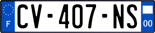 CV-407-NS