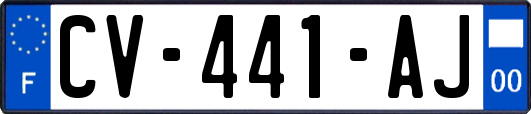 CV-441-AJ