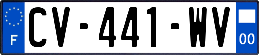 CV-441-WV