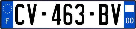 CV-463-BV