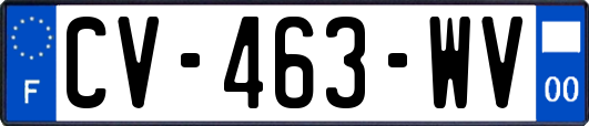 CV-463-WV