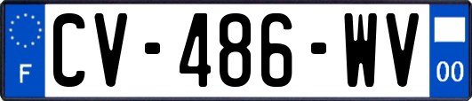 CV-486-WV