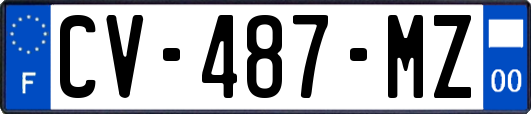 CV-487-MZ