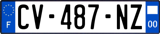 CV-487-NZ