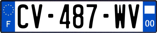 CV-487-WV