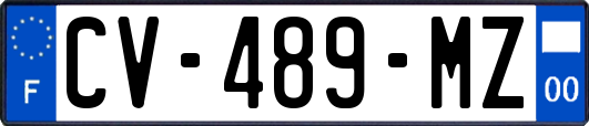 CV-489-MZ