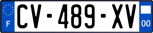 CV-489-XV