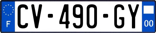 CV-490-GY