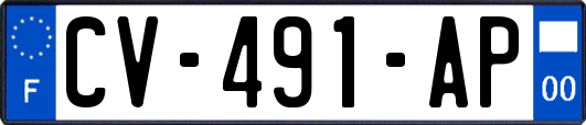 CV-491-AP