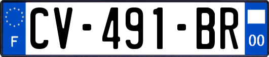 CV-491-BR