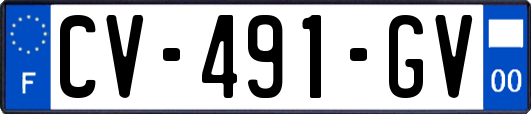 CV-491-GV