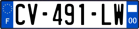 CV-491-LW