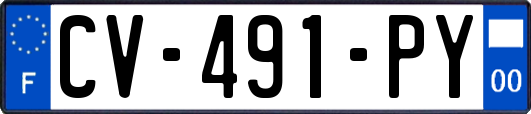 CV-491-PY