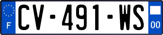 CV-491-WS