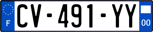 CV-491-YY