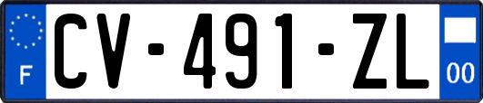 CV-491-ZL